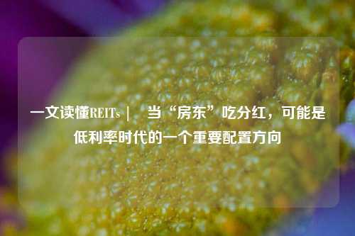 一文读懂REITs | 当“房东”吃分红，可能是低利率时代的一个重要配置方向