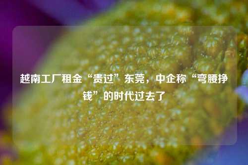 越南工厂租金“贵过”东莞，中企称“弯腰挣钱”的时代过去了