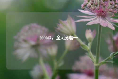 000063，全A股唯一