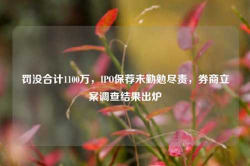 罚没合计1100万，IPO保荐未勤勉尽责，券商立案调查结果出炉