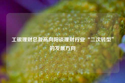 工银理财总裁高向阳谈理财行业“二次转型”的发展方向