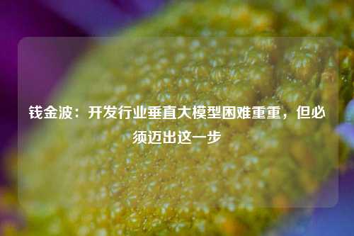 钱金波：开发行业垂直大模型困难重重，但必须迈出这一步