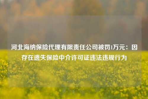 河北海纳保险代理有限责任公司被罚1万元：因存在遗失保险中介许可证违法违规行为