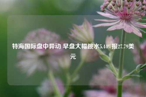 特海国际盘中异动 早盘大幅跳水5.44%报27.79美元