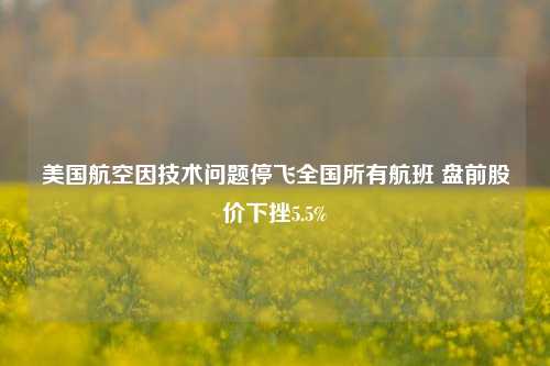 美国航空因技术问题停飞全国所有航班 盘前股价下挫5.5%