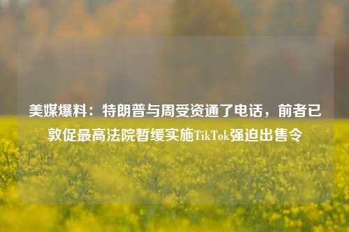 美媒爆料：特朗普与周受资通了电话，前者已敦促最高法院暂缓实施TikTok强迫出售令