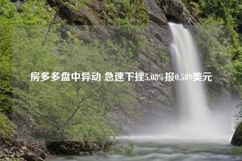 房多多盘中异动 急速下挫5.08%报0.589美元