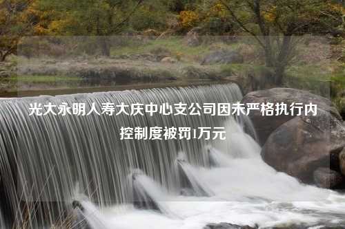 光大永明人寿大庆中心支公司因未严格执行内控制度被罚1万元