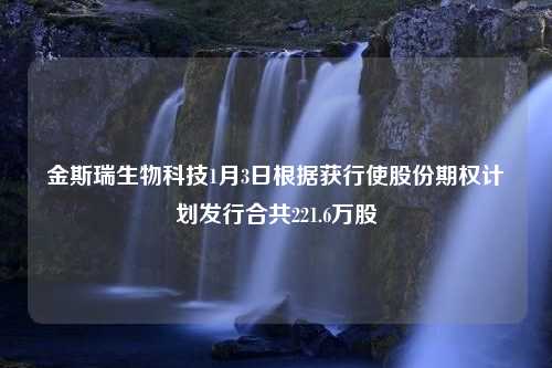 金斯瑞生物科技1月3日根据获行使股份期权计划发行合共221.6万股